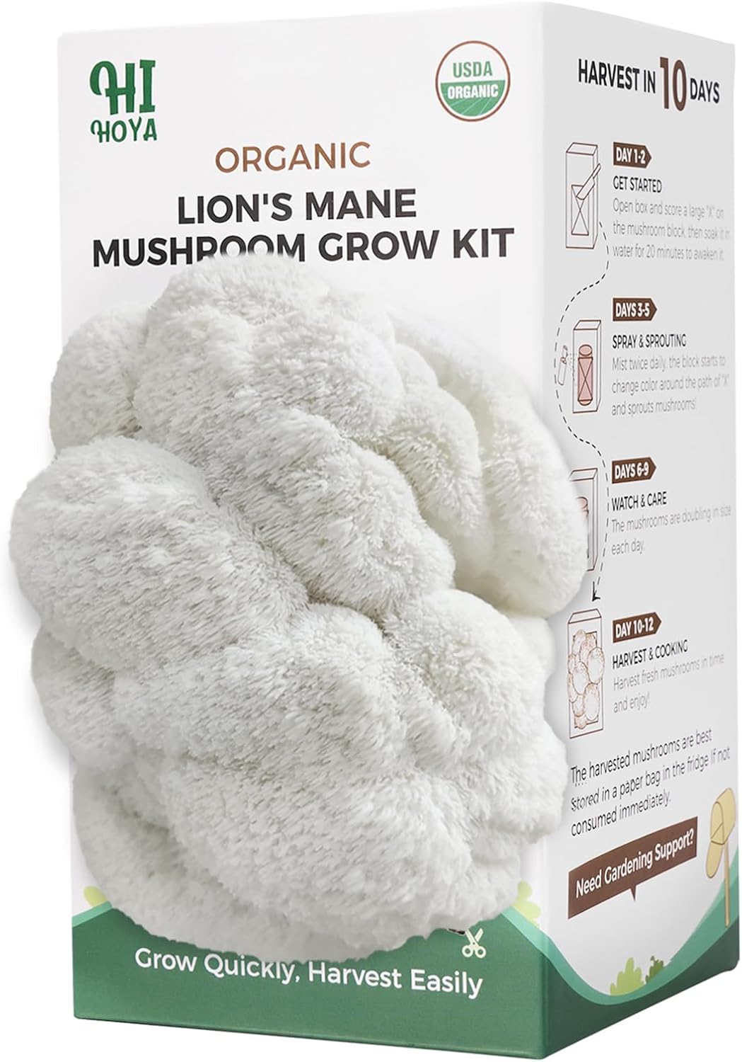 Organic Mushroom Growing Kit, Lion\'s Mane Mushroom Grow Kit with All Accessories, Grow Fresh Edible Mushrooms in Your Home, USDA Certified Organic, Non-GMO, Beginner Friendly Easter Basket Stuffers