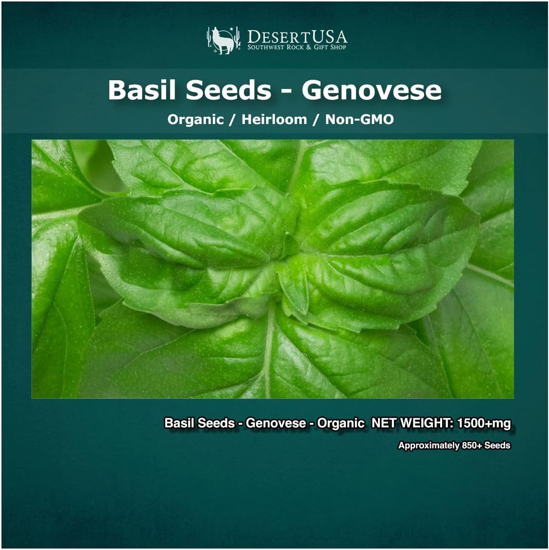 Organic Basil Seeds - Genovese - Ocimum basilicum - Seeds for Planting, 1500+mg - 850+ Herb Seeds, Indoor or Outdoor Growing, Heirloom, Non-GMO