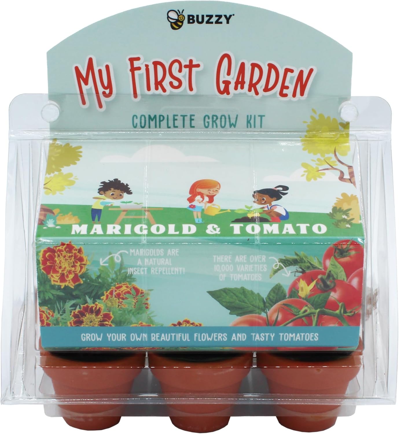 Buzzy Seeds 6 Pot Mini Greenhouse | Flower & Veggie Starter Kit for Kids & Adults | Organic Cherry Tomato & Marigold Tangerine Seeds | Guaranteed to Grow | Best Indoor Grow Your Own Plant Gardening