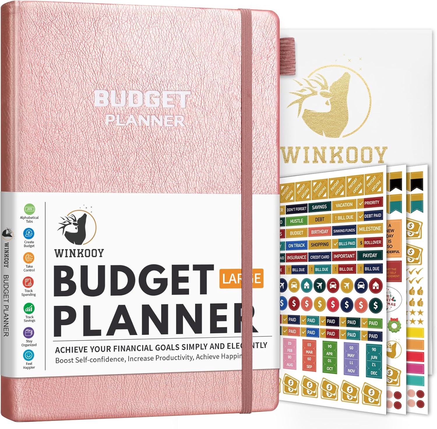 Budget Planner 2025 - Large Size 7